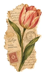 Vintage sticker STK-2537