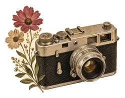 Vintage sticker STK-2538