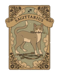 ستيكر Zodiac Signs STK-844