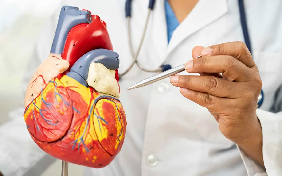 imagen del servicio Cardiología