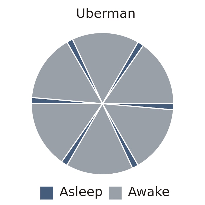 A chart showing the polyphasic sleep rhythm