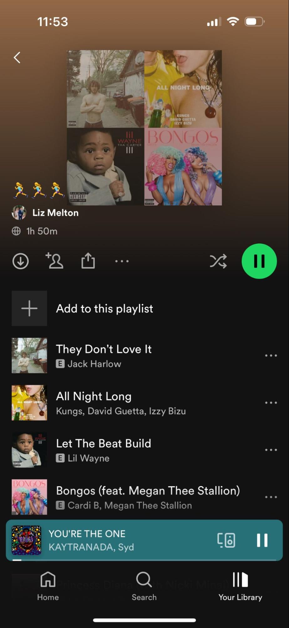 Liz's Spotify playlist