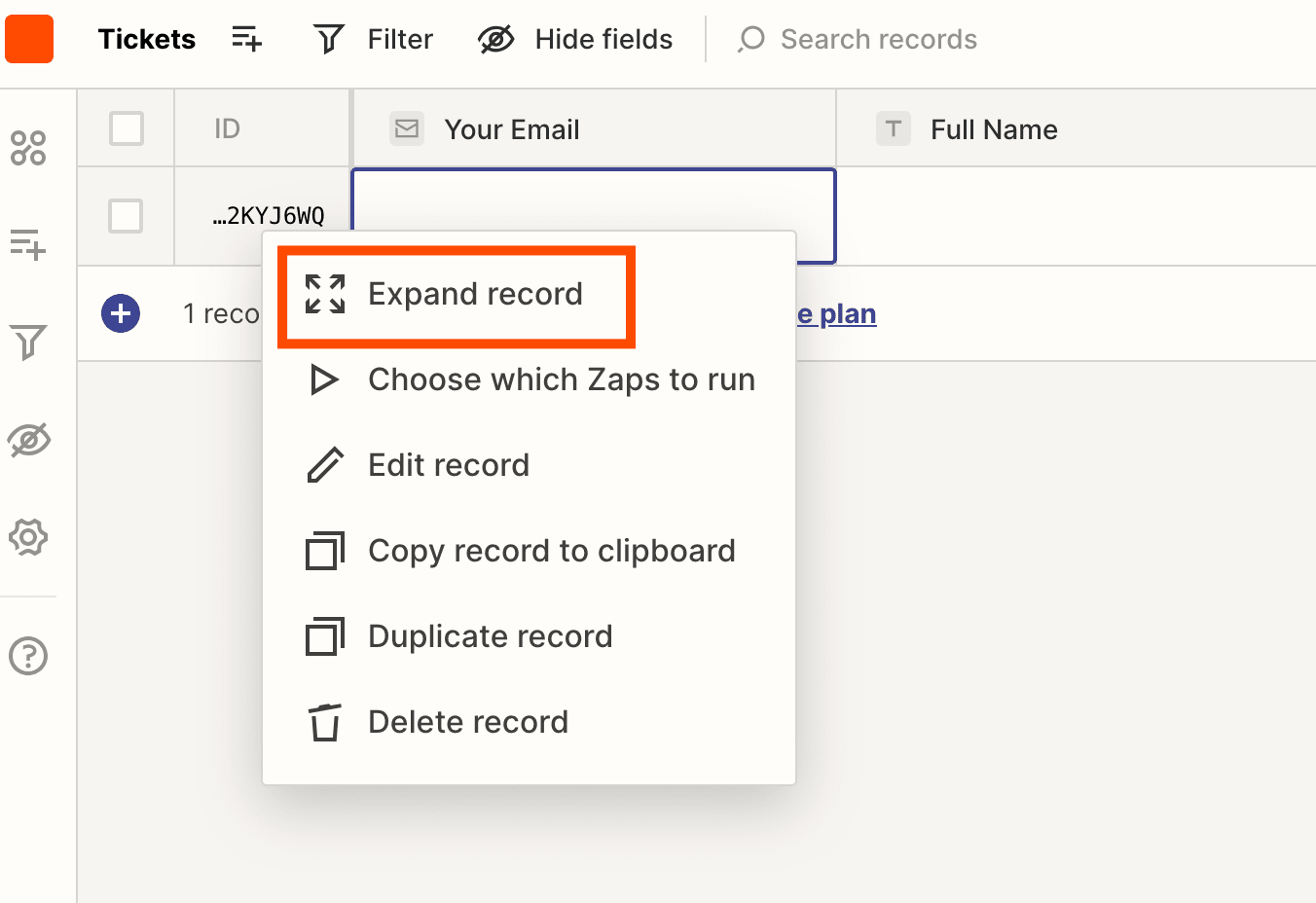 Screenshot of expanded records in Tables