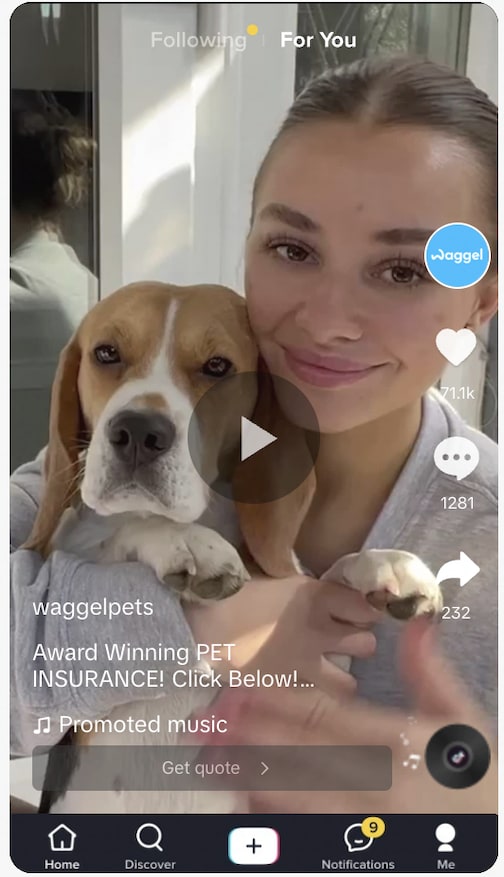 An example of a TikTok that Upbeat Agency implemented for Waggel