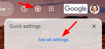 The settings cog in Gmail