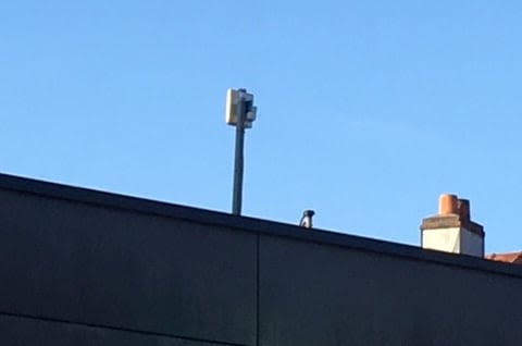 vodafone network booster