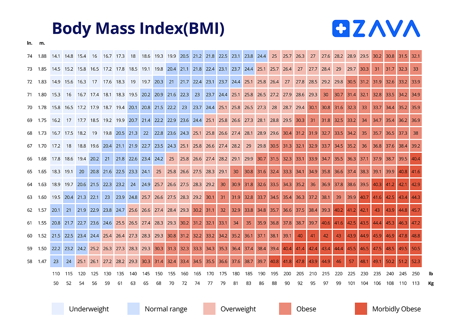 bmi reference chart