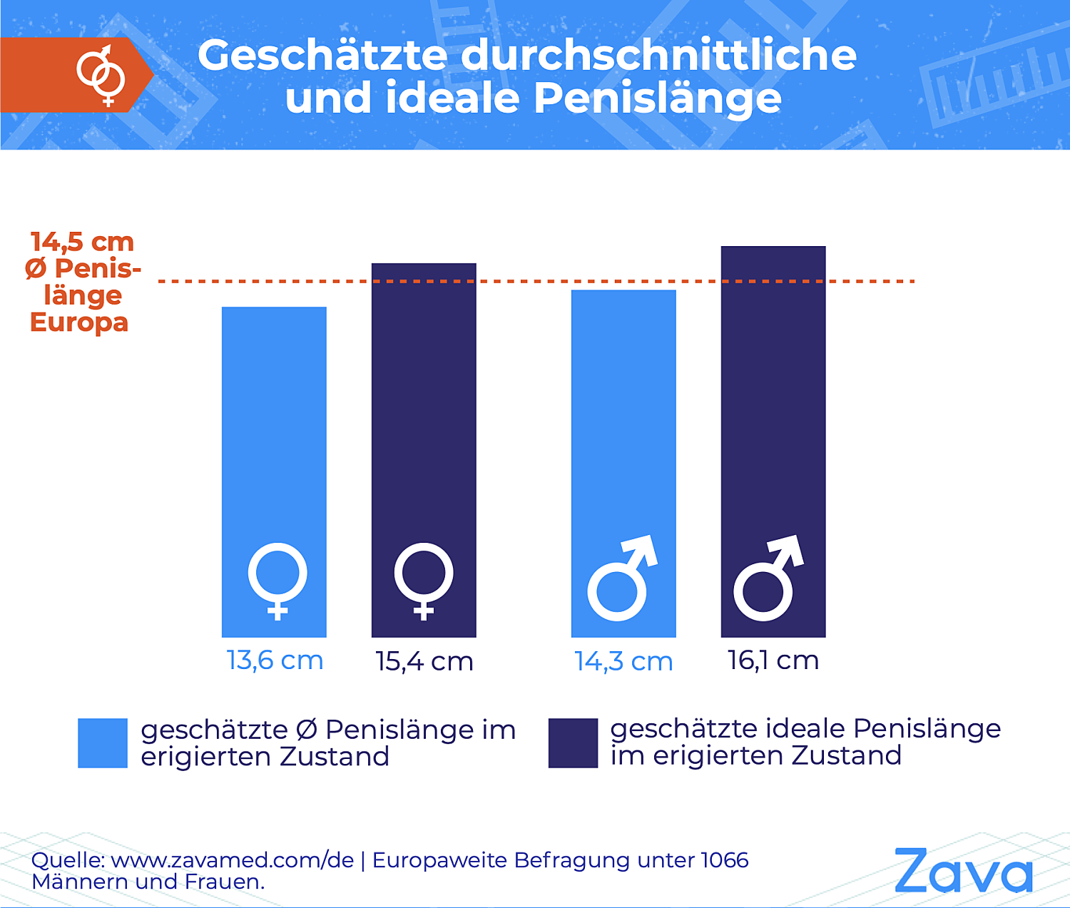 Penisgrösse durchschnitt