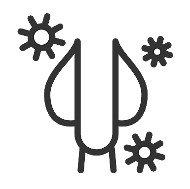 penis with a virus