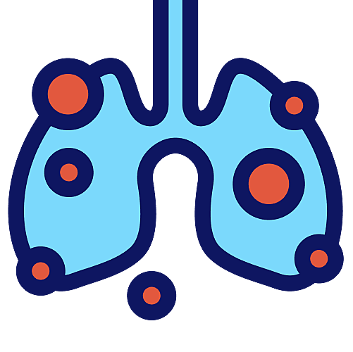 lungs