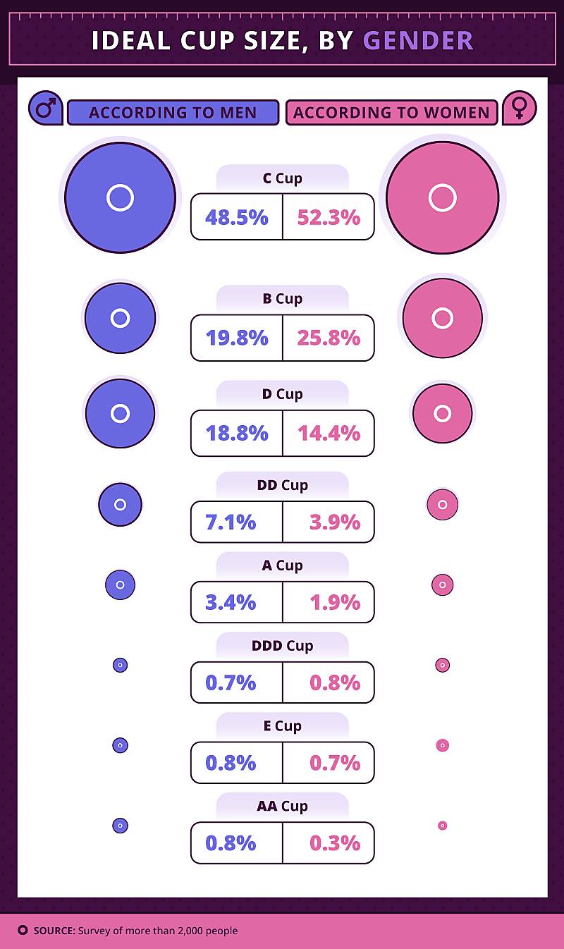 Bust Size To Cup Size Chart