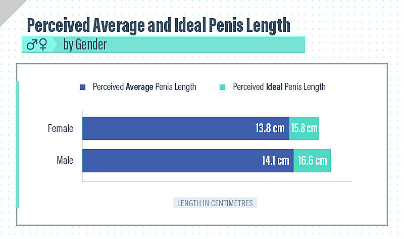 Does penis size matter | Average penis sizes by country | ZAVA