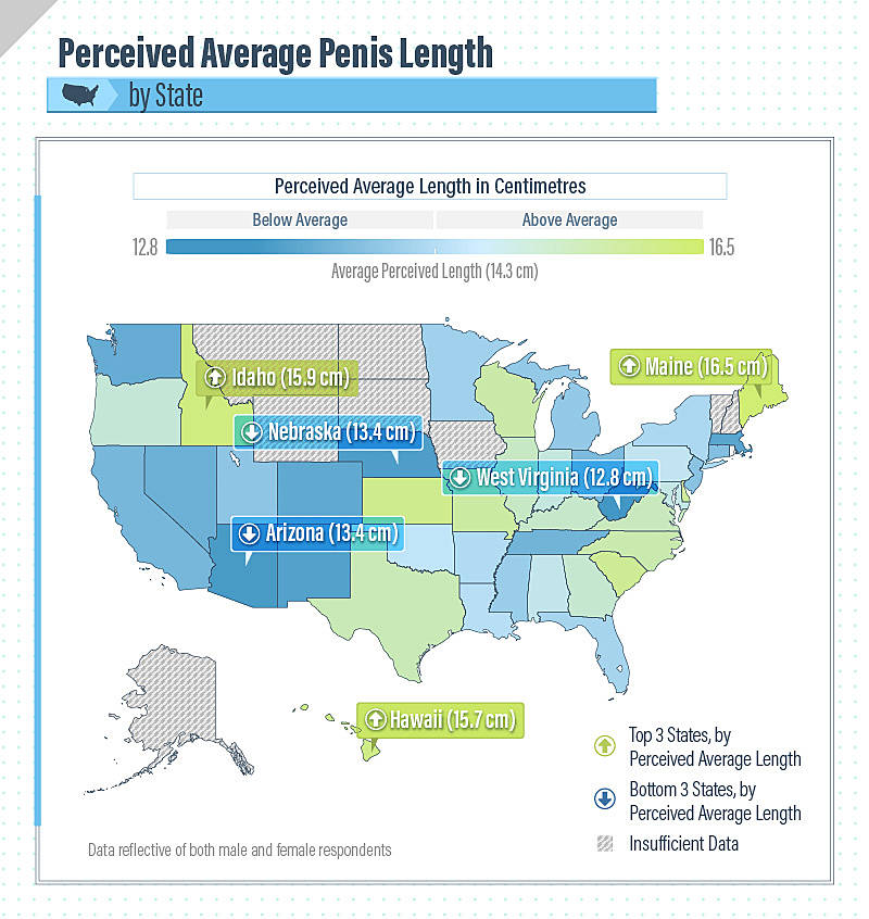 What is the average penis size?