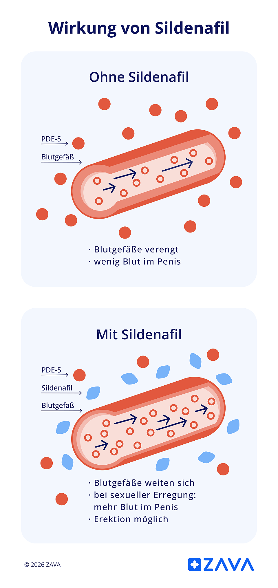 Grafik zur Wirkung von Sildenafil in VIAGRA®
