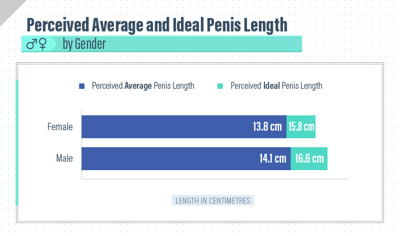 Average Penis Anal - Average Penis Size Photos - Photo XXX