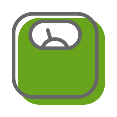 scale icon