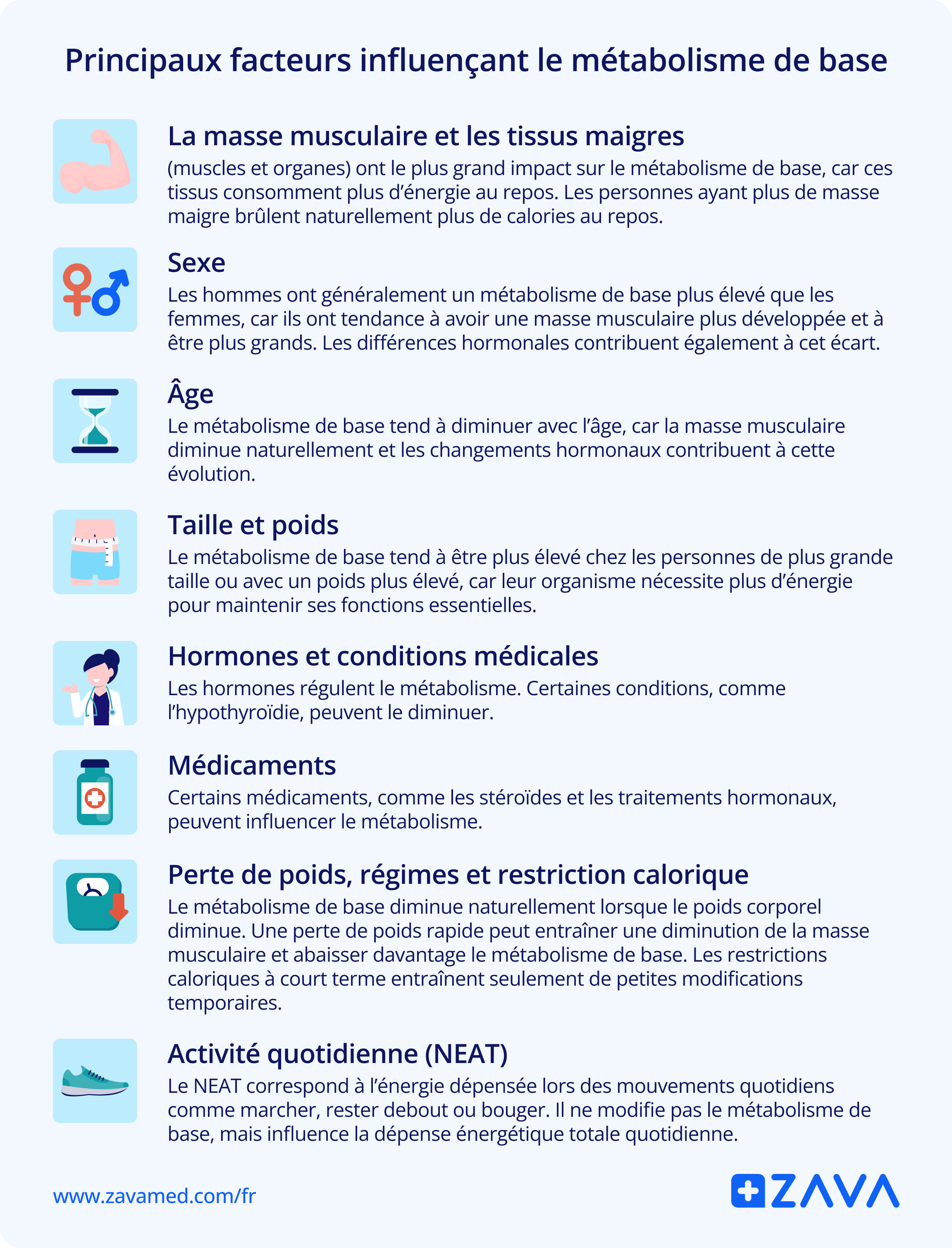 Principaux facteurs influençant le métabolisme de base