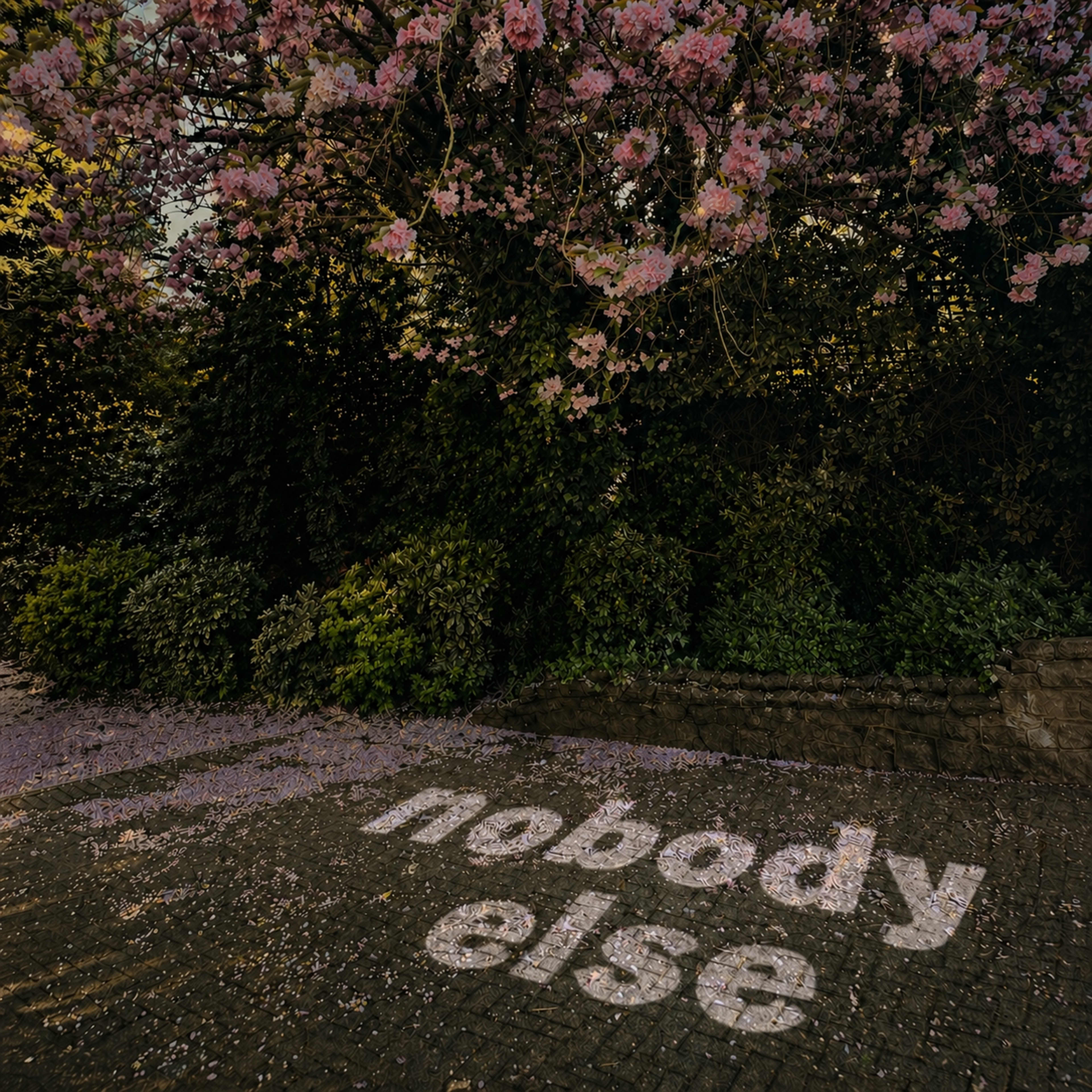 Nobody Else