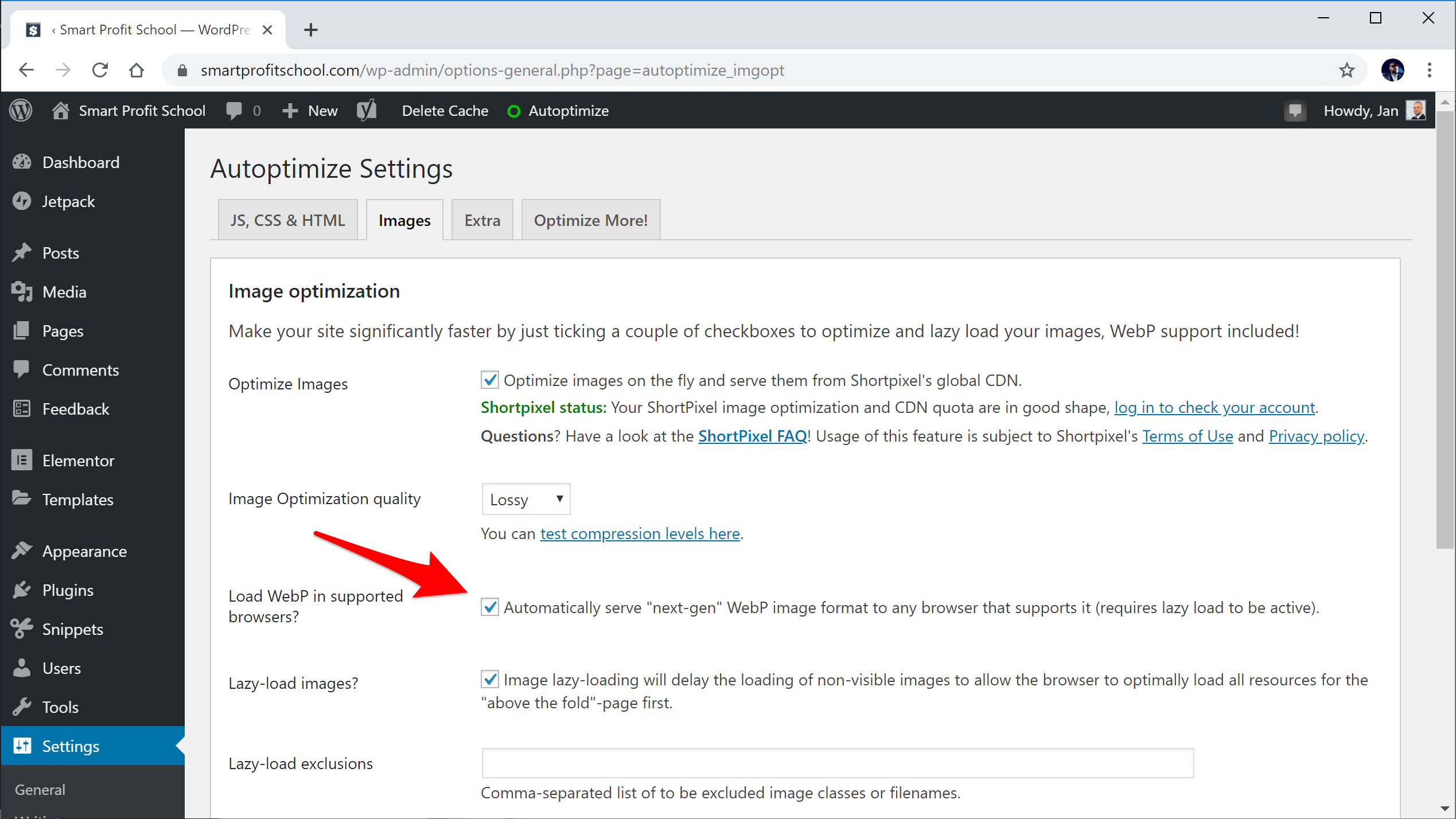 Load WebP settings in Autoptimize