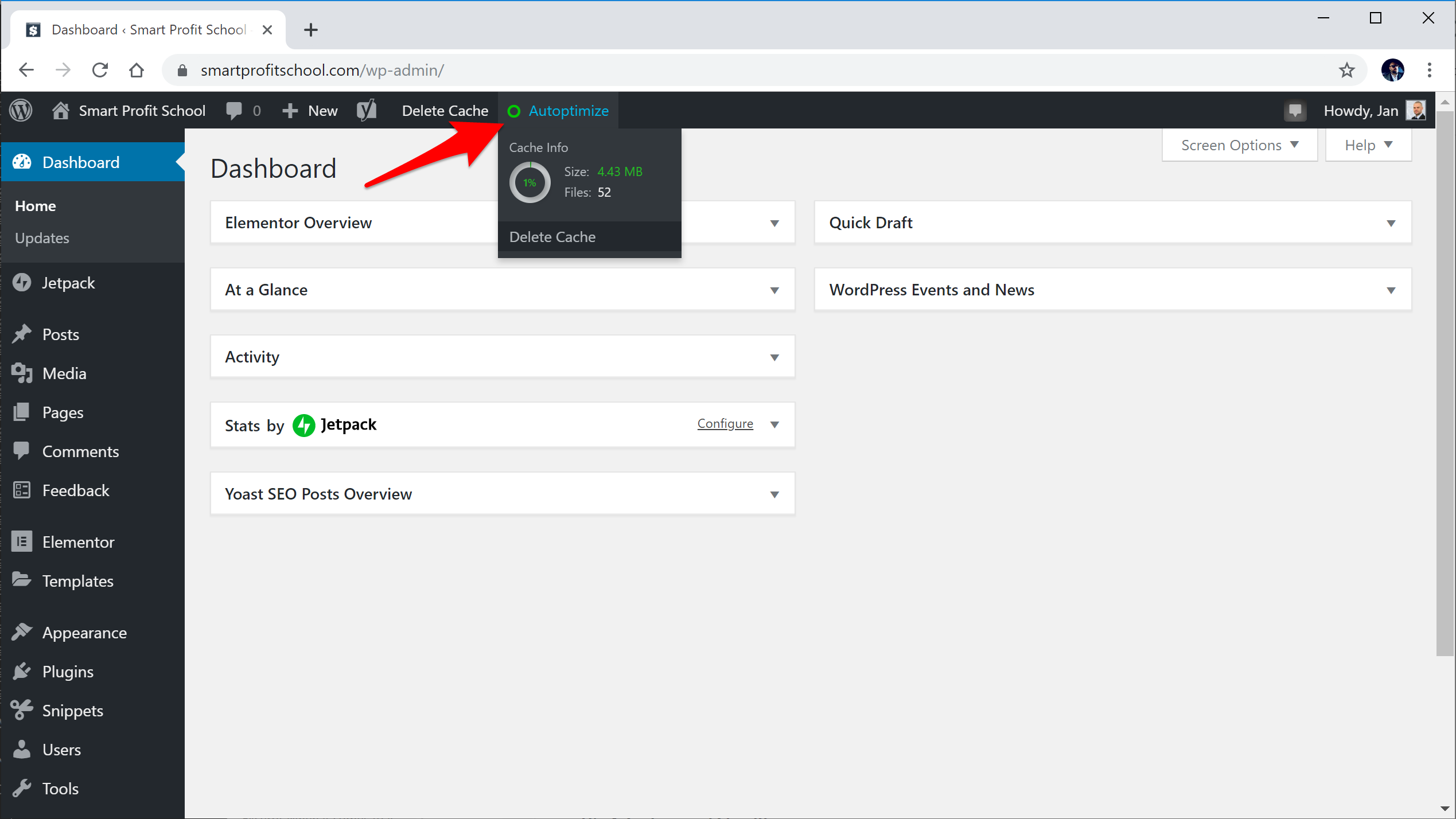 Autoptimize settings