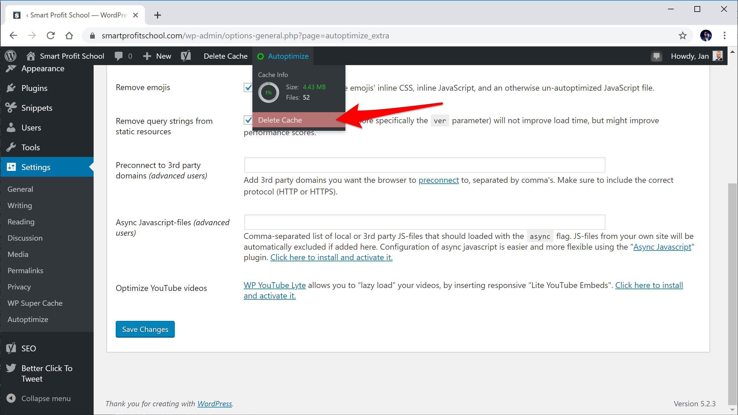 Deleting cache in Autoptimize