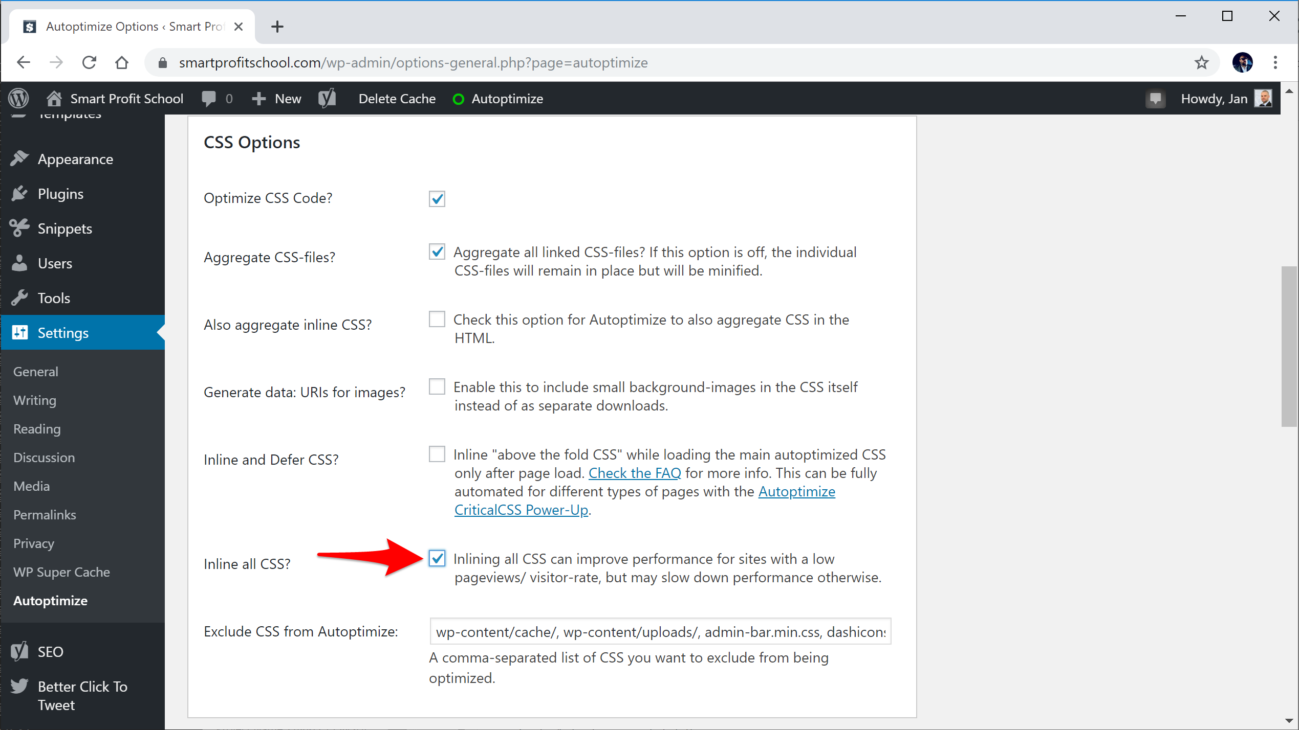 Autoptimize CSS settings