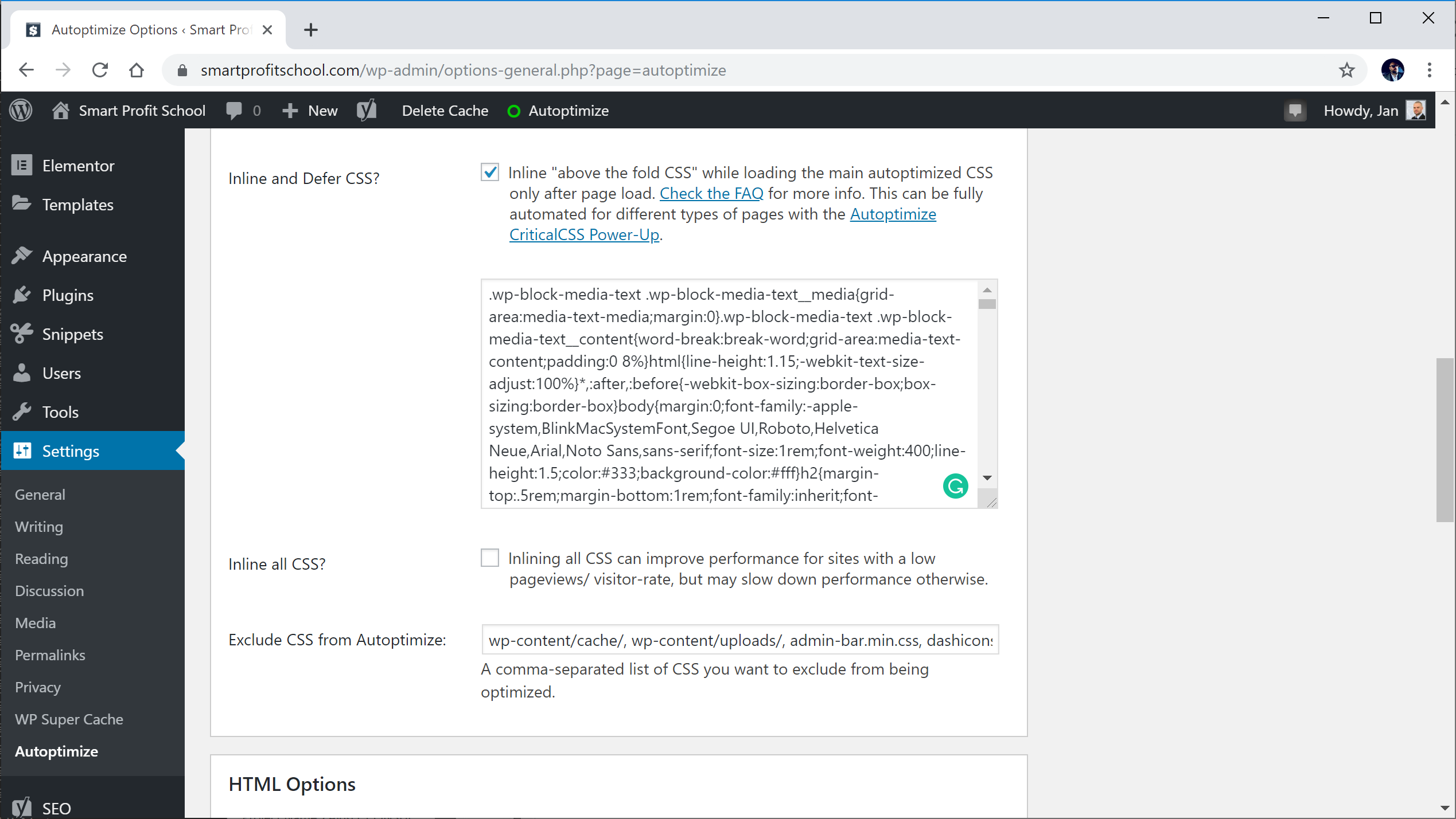 Autoptimize - above the fold CSS