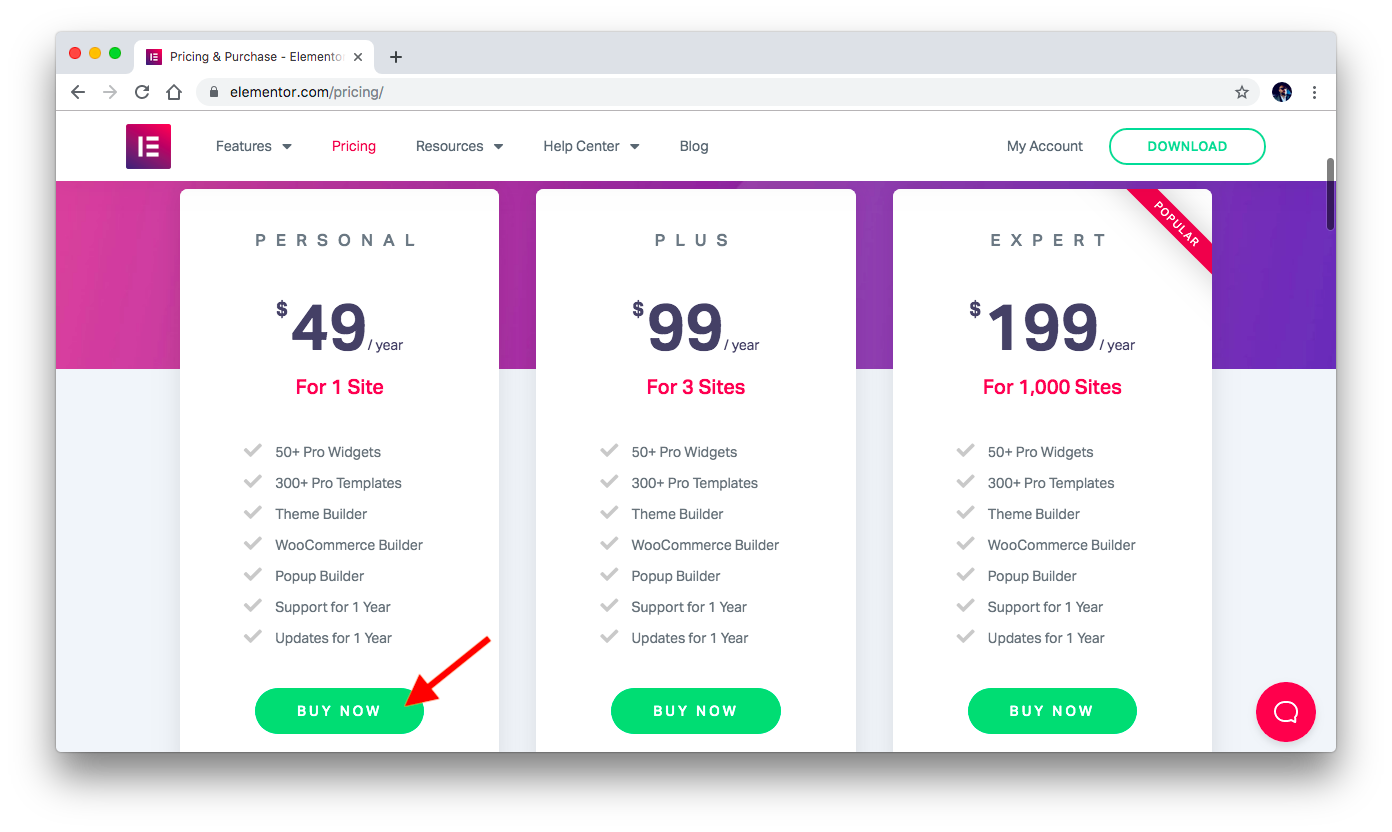 Elementor pricing