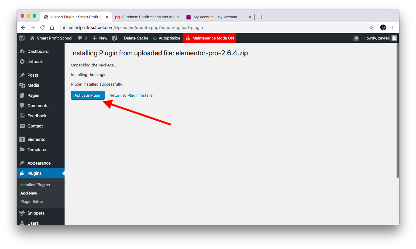 Elementor Pro plugin activation