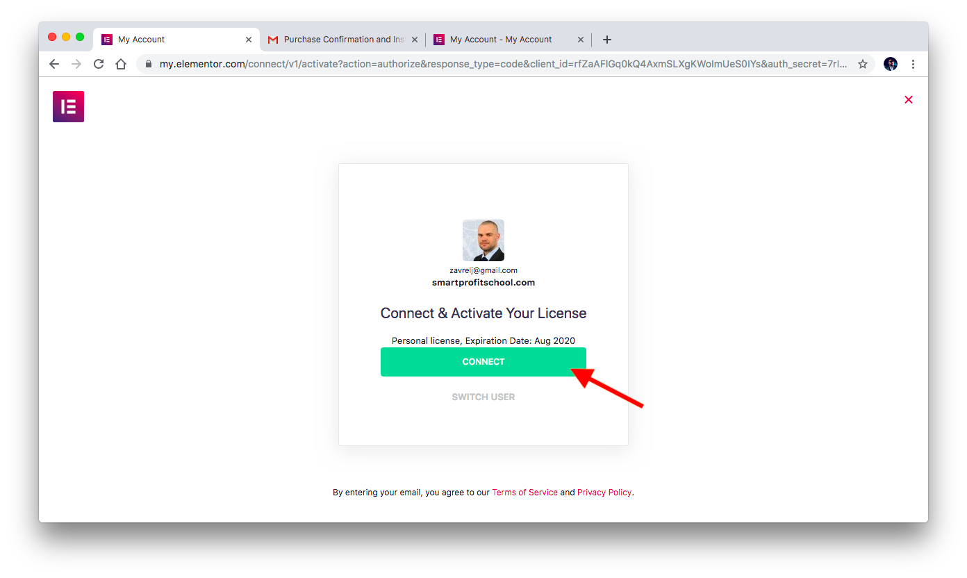 Elementor Pro connect