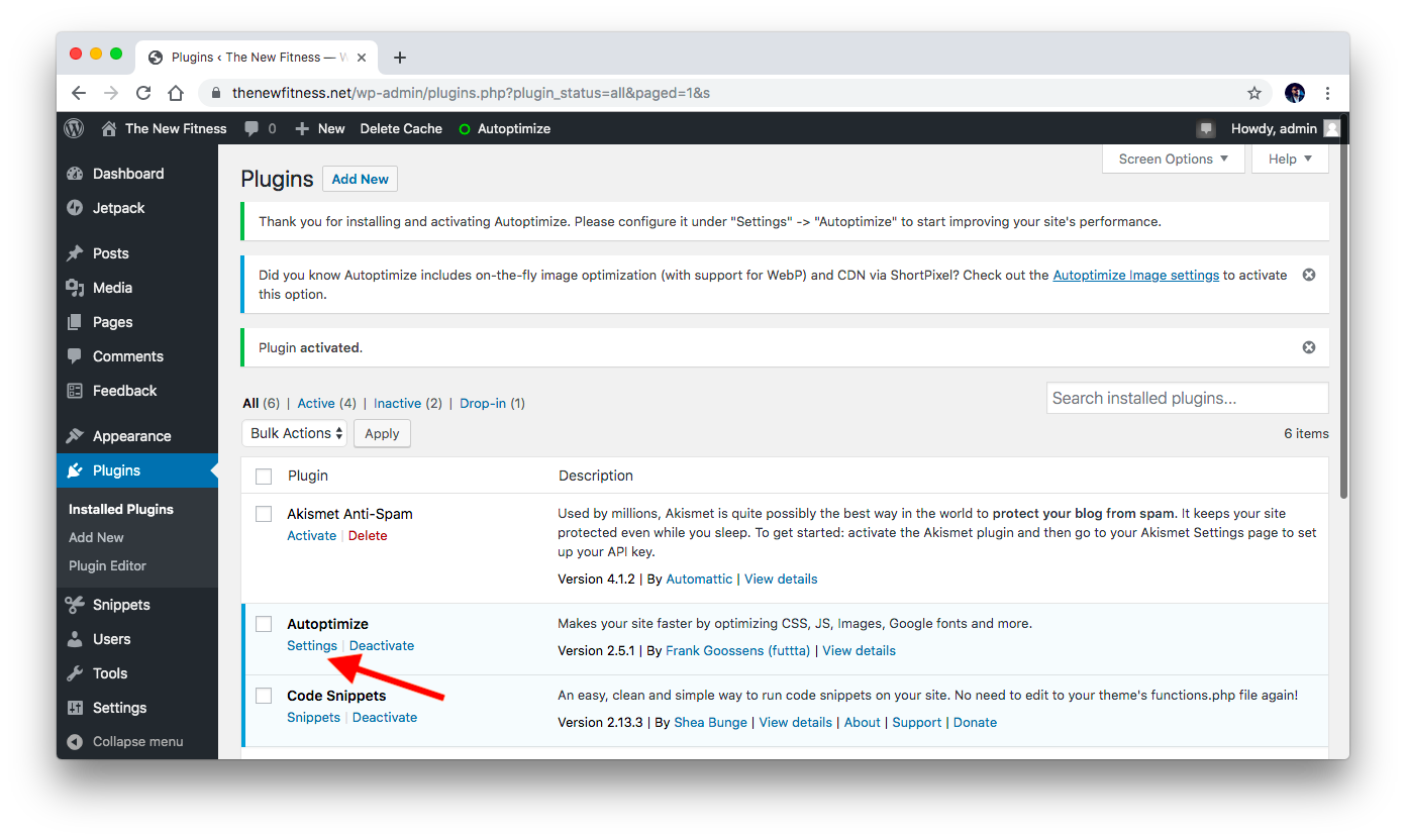 Autoptimize settings