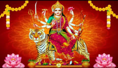 આજથી નવરાત્રિનો પ્રારંભ: અમદાવાદમાં ગરબાની રમઝટ માટે ખેલૈયાઓ તૈયાર, આદ્યશક્તિની આરાધના સાથે નવરંગી ઉત્સવનો થશે પ્રારંભ