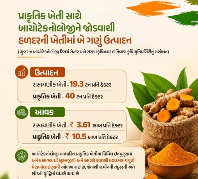 પ્રાકૃતિક ખેતીથી હળદરની ઉપજ બમણી થઇ: વૈજ્ઞાનિકોએ કરેલા પ્રયોગોમાં જબરદસ્ત સફળતા મળી