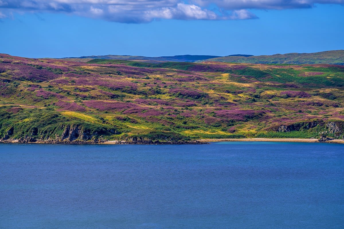 1441 Jura Scotland