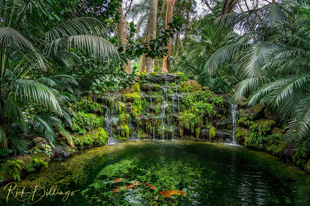 1364 Koi Pond
