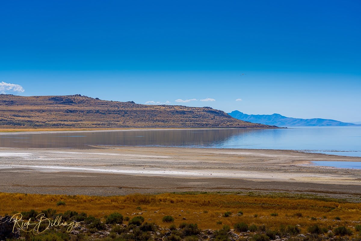 1115 Farmington Bay Utah