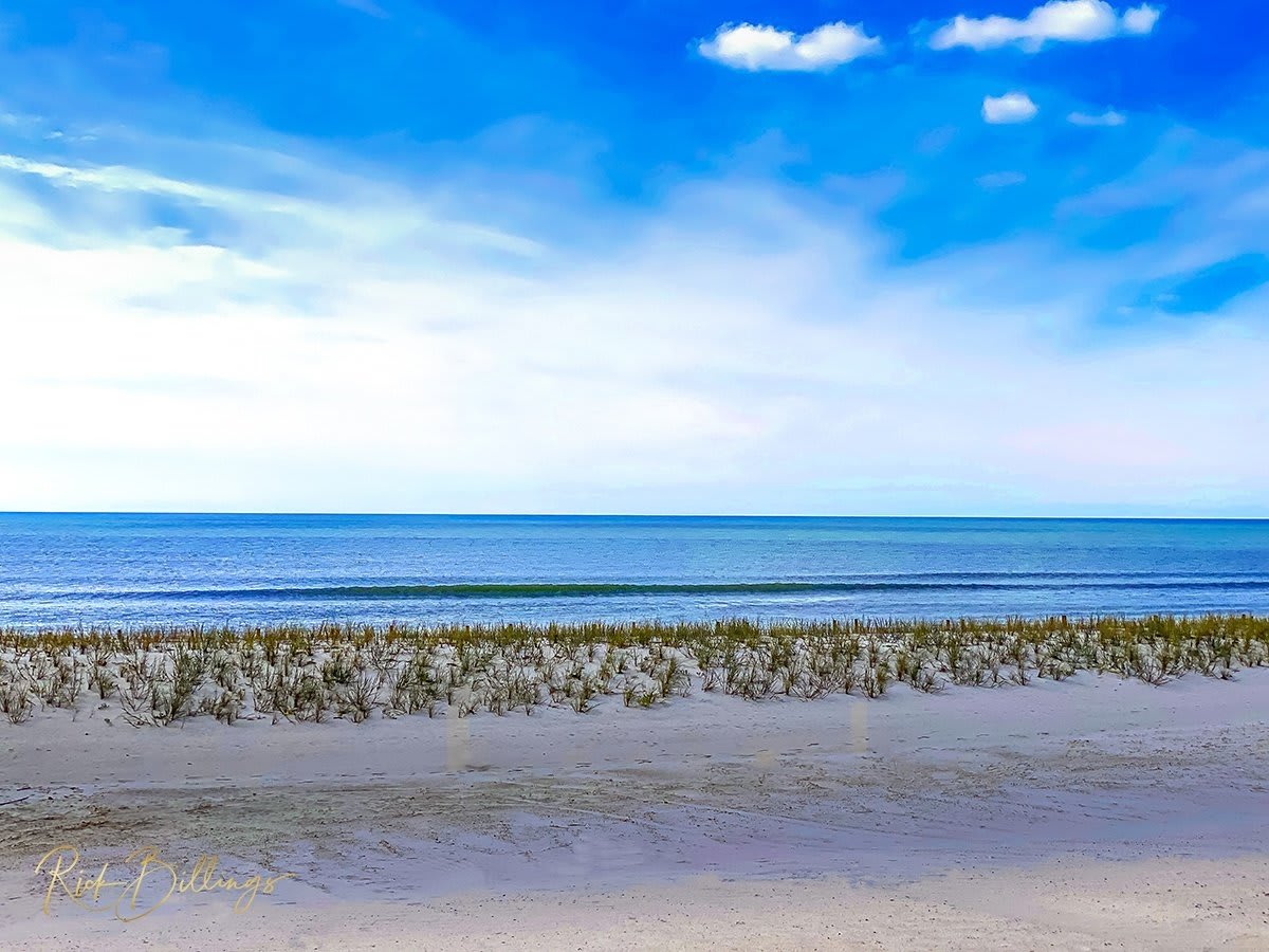 1172 Gulf Coast Mississippi