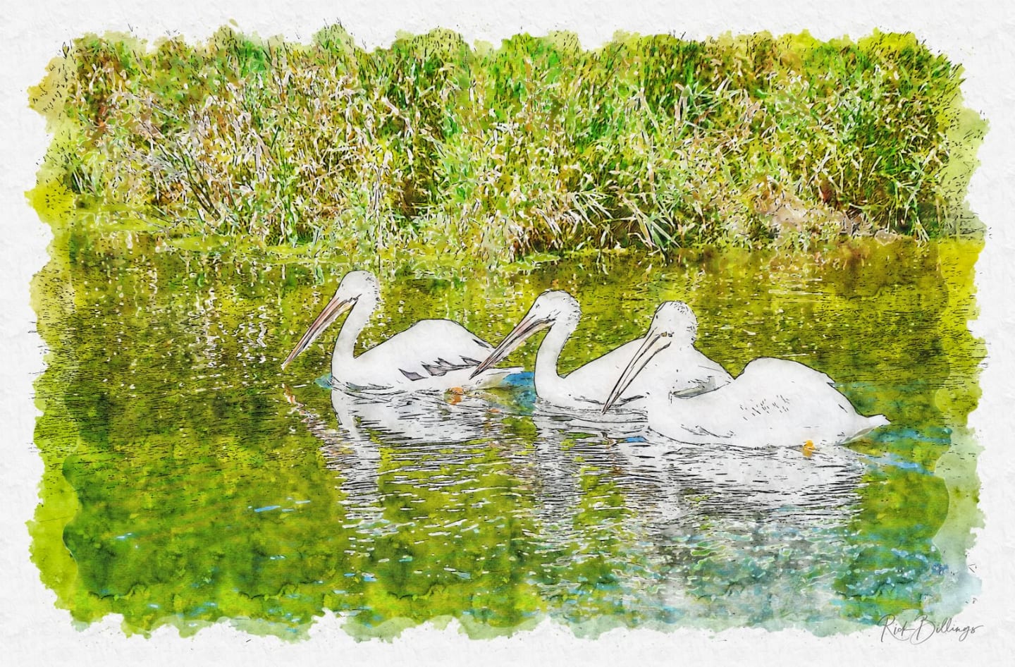 [1129] Wildlife Safari, Ashland, Nebraska
