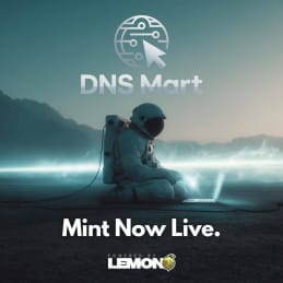 DNS Mart - Lemon