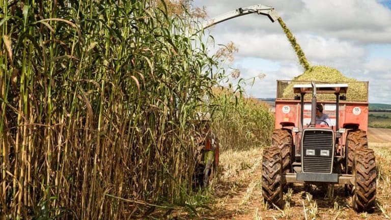 Clima brasileiro passa a ditar rumos do mercado internacional de soja