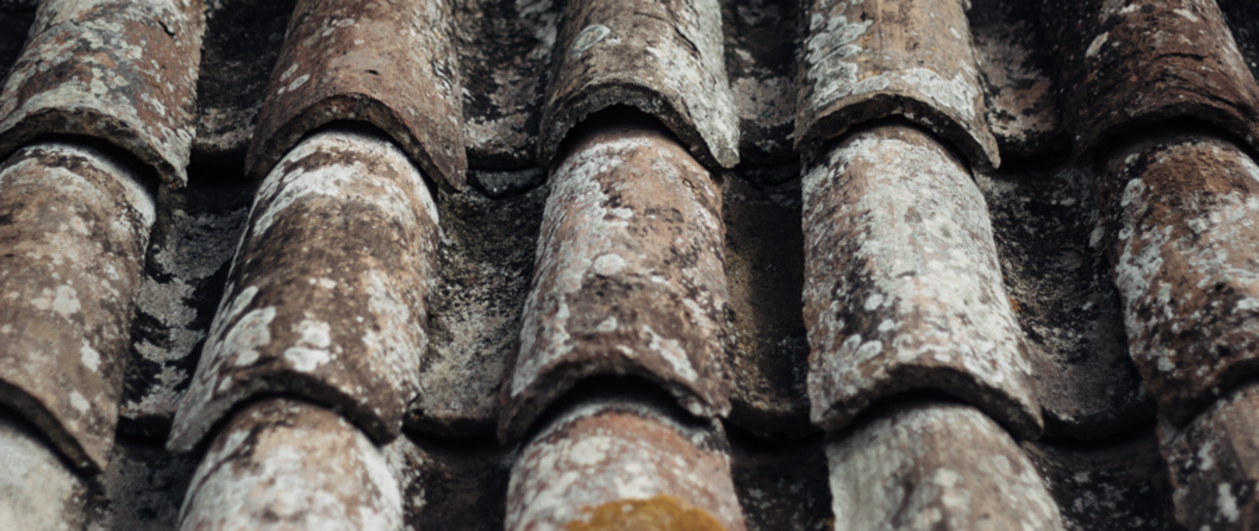 Reparatur & Wartungsarbeiten