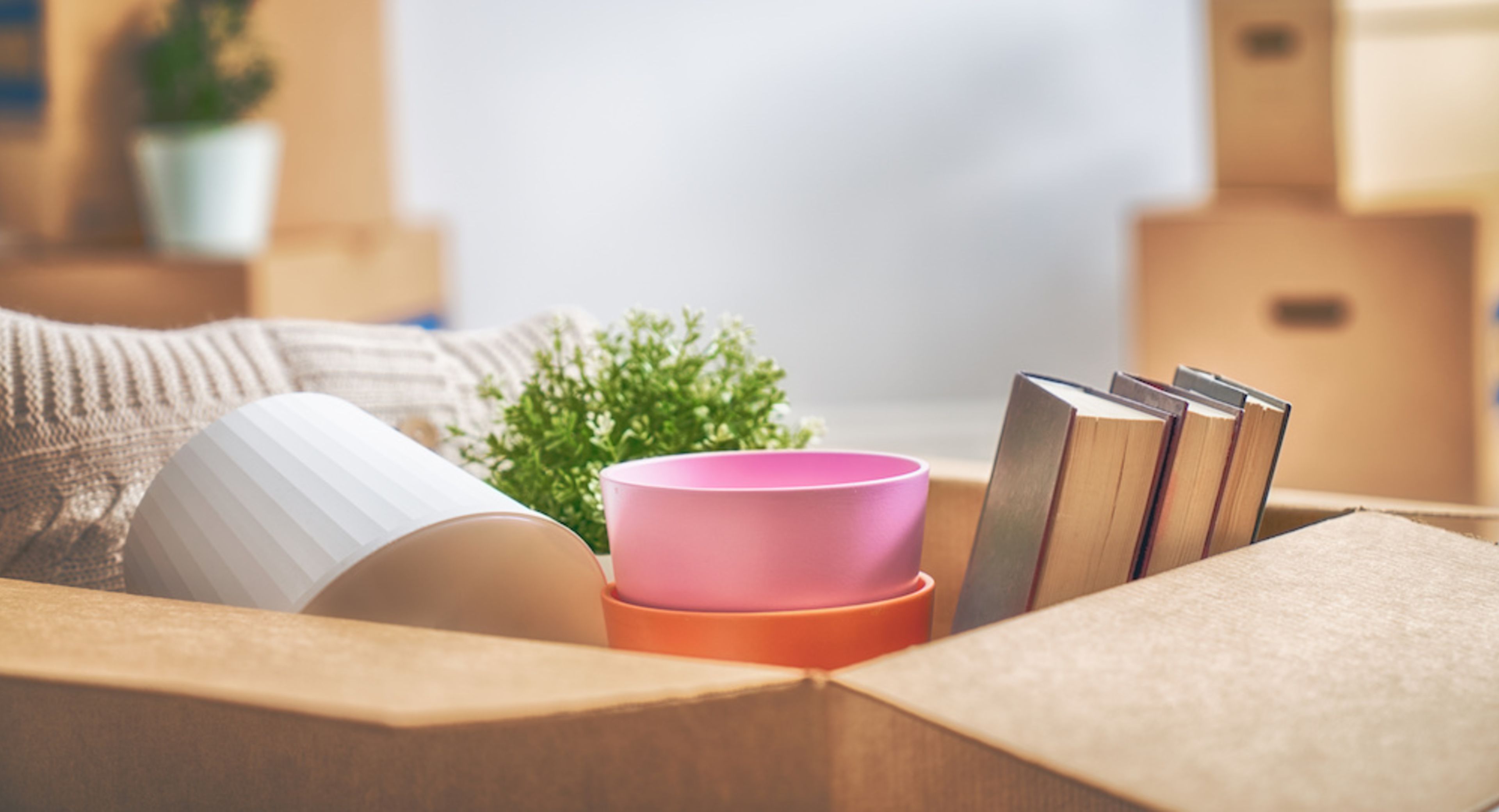 遺品整理・生前整理