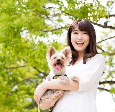 犬の寿命を考え 愛犬が長生きするためにしてあげたいこと3つ Zehitomo Journal