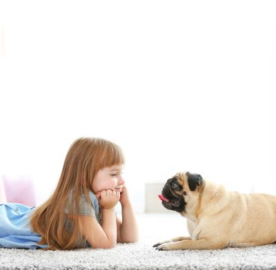 犬に絶対に食べさせてはいけない ブドウ レーズン Zehitomo Journal