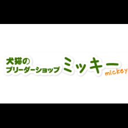 岡山県で人気の調教師12選 21年5月更新 ゼヒトモ Zehitomo