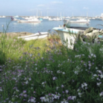 大森ピアノ調律所