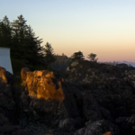 伊與部登記測量事務所