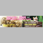 ペットシッターひだまり