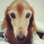 角守写真事務所