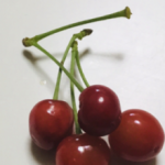 平石 明美